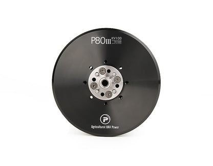 T-Motor P80 mit PIN – High Power Agrar-UAV Motor